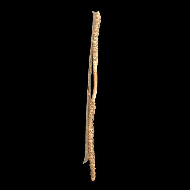 Pokot Shield 5 Right Side
