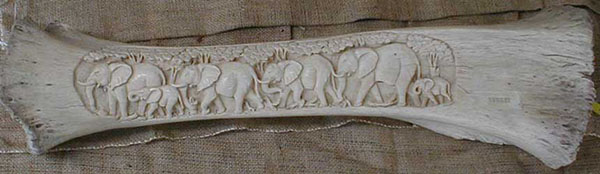 African Carved Elephant Bone front