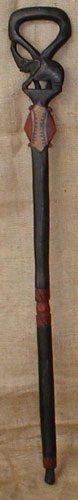African Walking Stick 2 front
