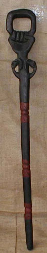 African Walking Stick 3 front